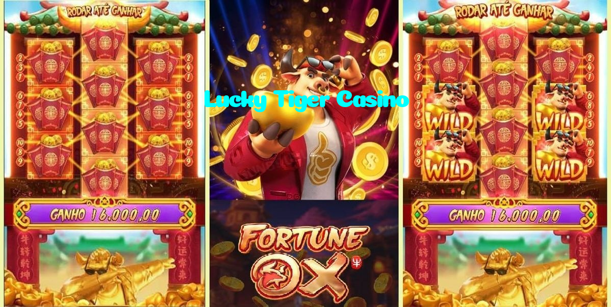 available types of Lucky Tiger Casino bet including pre-match live express and system bets